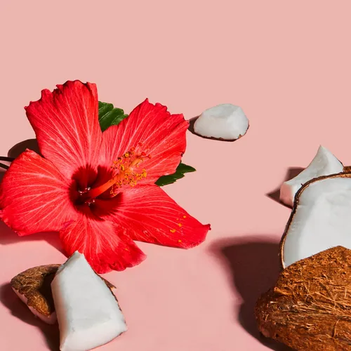 Vista 9 de SheaMoisture Crema de peinado para rizos para definición de rizos de coco e hibisco y desenredar para cabello de niños 6 fl oz