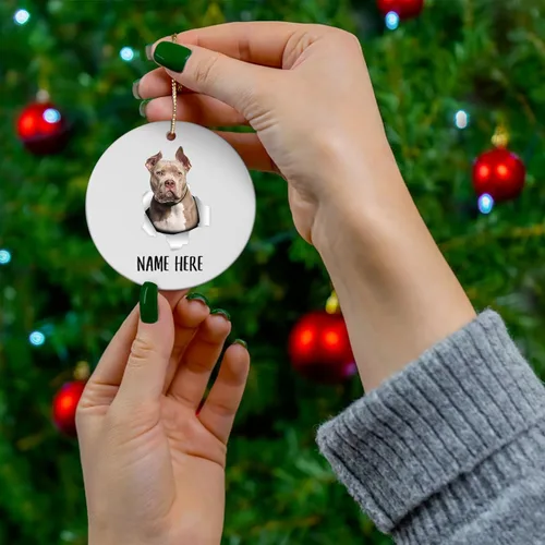 Vista 3 de Personalized Name American Bully Sitting Christmas Tree Ornaments Circle Ceramic Decorations Gifts for Dog Lovers Owners