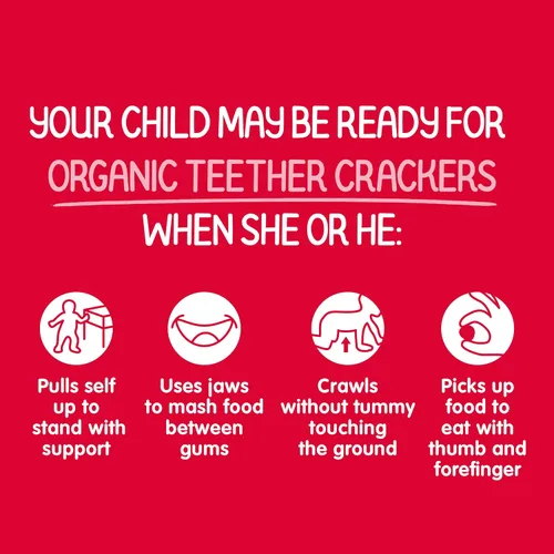 Vista 4 de Happy Baby Organics Organic Teether Gletres Gluten Free Strawberry & Remoet con Amaranth, 0.14 oz, 12 Count (Paquete de 6)