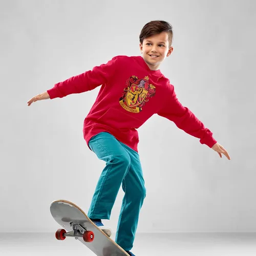 Vista 6 de Harry Potter Hogwarts School of Witchcraft and Wizardry House Crest - Sudadera con capucha para jóvenes