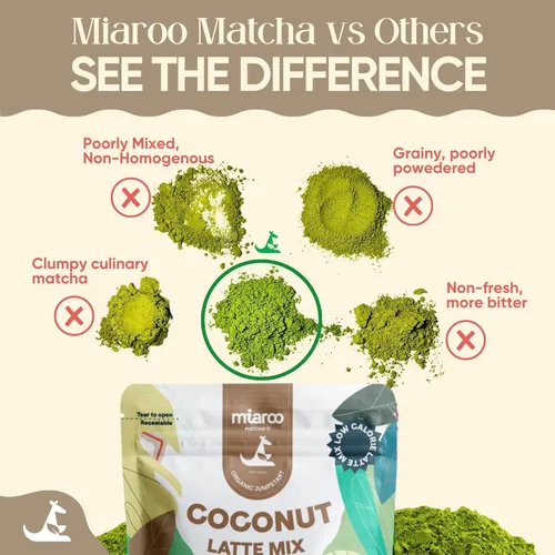 Vista 5 de Coconut Matcha Latte 3.53 oz Polvo cremoso de té verde japonés con sabor a coco, sin lácteos, sin edulcorantes artificiales, 0.18 onzas de azúcar
