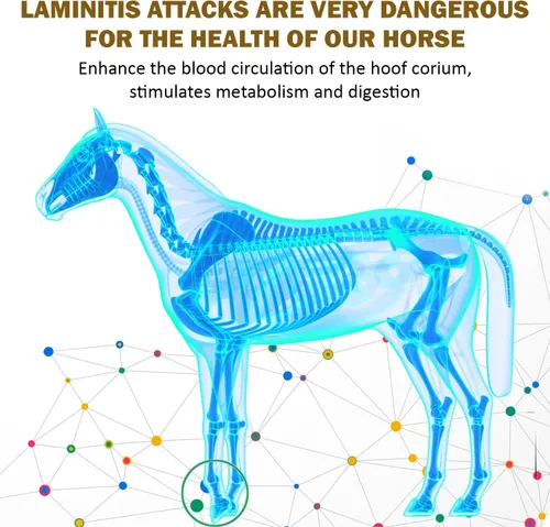 Vista 2 de V-POINT - Laminitis Ease - Suplementos de pezuñas para caballos - Producto para el cuidado de pezuñas de caballo a base de polvo natural - Ideal