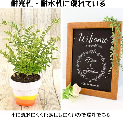 Vista 5 de Sakura Crepas Pigmax Fine Point ZPK-S10P Water-Based Pens, Blue, 10 Pens