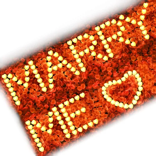 Vista 8 de KOABY 1000 piezas pétalos de rosa artificiales azules con kit de 12 luces LED azules de té, para decoración