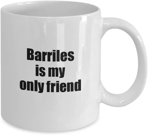 Vista 2 de EzGift Funny Barriles Mug Is My Only Friend Quote Musician Gift For Instrument Player Coffee Tea Cup 11 oz