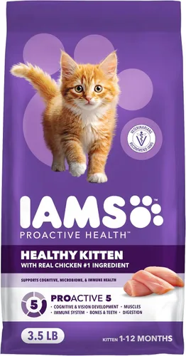 IAMS Proactive Health Healthy Kitten - Alimento seco para gatos, pollo, 3.5