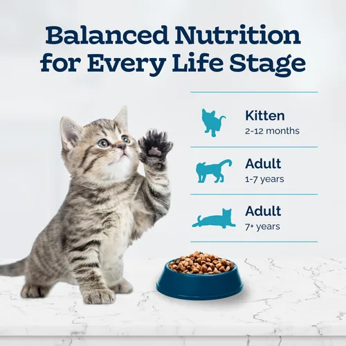 Vista 8 de Blue Buffalo Tastefuls Alimento para Gatitos con DHA - Comida Seca para Gatos Hecha en los Estados Unidos con Ingredientes Naturales, Receta