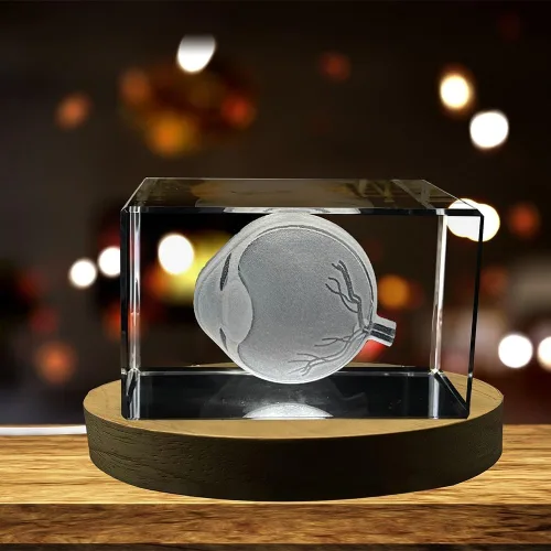 Arte de ojos para oftalmólogos | Recuerdo de cristal grabado en 3D | Regalo para médico | Coleccionable | Recuerdo | Regalo personalizado con foto