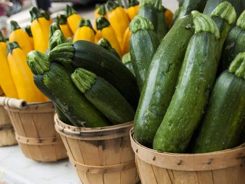 Vista 3 de Seeds Zucchini Courgette Squash Summer Mix 35 Days Fast Heirloom Vegetable Non GMO