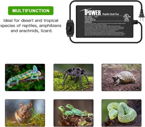 Vista 7 de iPower Alfombrilla térmica de reptiles de 4 x 7 pulgadas con perilla de control de temperatura ajustable, termómetro digital LCD para acuario