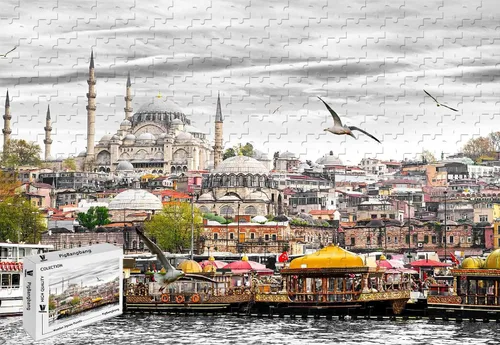 PigBangbang,29.5 X 19.6 Inch in Basswood Birthday Gift Home Decor -Seagulls in Istanbul - 1000 Piece Jigsaw Puzzle