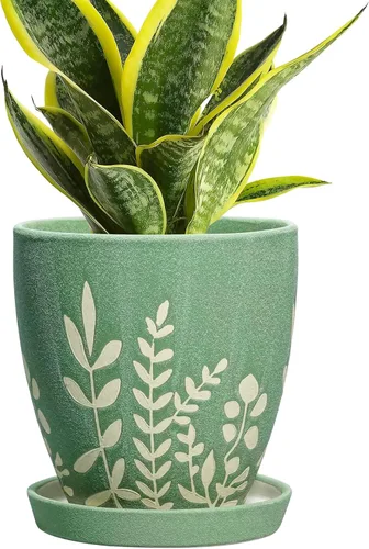 Vista 16 de Maceta de cerámica de 6 pulgadas con platillo - Maceta pequeña para flores con drenaje para suculentas y hierbas, decoración de escritorio boho