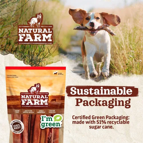Vista 9 de Natural Farm Orejas de cerdo para perros (8 unidades), un ingrediente: orejas de cerdo enteras naturales, secas al aire, golosinas de larga duración