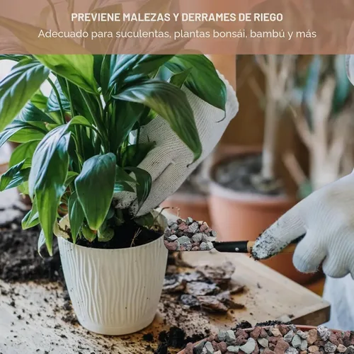 Vista 4 de NUPICK Mezcla de rocas de lava hortícola de 3 libras para plantas, grava de Mixto