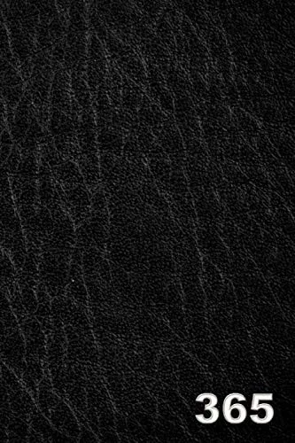 365 Day Journal 365 Page Lined Daily Journal for 2020 and Beyond - Black Leather Look Paperback Design - Undated One Page A Day Diary Notebook for
