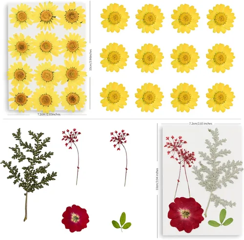 Vista 6 de 95PCS flores secas prensadas para manualidades con pinzas y bolígrafo de pegamento