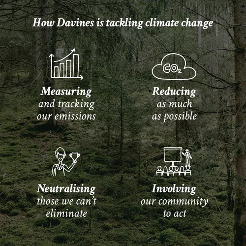 Vista 11 de Davines NOUNOU Acondicionador profundo hidratante para cabello decolorado, permanente, relajado, dañado o muy seco, repone el cabello químicamente