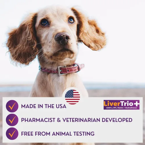 Vista 6 de Suplemento integral de apoyo hepático para perros más pequeños. Tabletas masticables sabrosas que combinan las mismas, SPC, silybin A+B, + glutatión