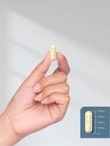 Vista 7 de Horbäach Suplemento de Crisina 500mg 60 Cápsulas Extracto de flor