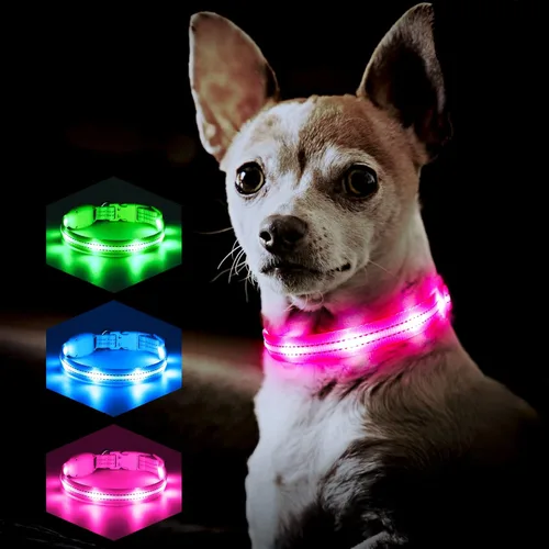 Vista 7 de Collares iluminados para perros pequeños, medianos y grandes, collar de perro LED ajustable, collar recargable con brillo suave para perros y gatos