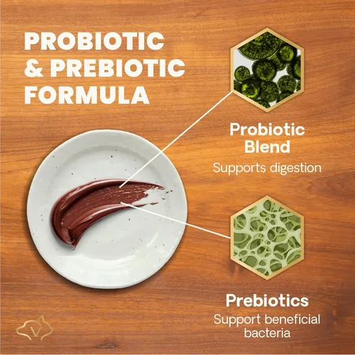 Vista 5 de VetriScience Pasta de ayuda para la diarrea de acción rápida con probióticos y vitaminas B, suplemento de apoyo digestivo de equilibrio rápido