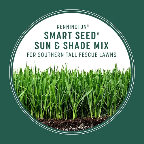 Vista 5 de Pennington Smart Seed Sol y Sombra Mezcla de Semillas de Césped Festuca Alta para Céspedes del Sur 3 lb