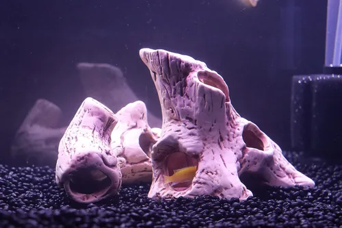 Vista 3 de ALEGI Decoración de acuario, cuevas de roca, escondite para camarones, cíclidos, decoración de escondite de peces betta, seguro para tanques de agua