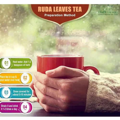 Vista 7 de RUE Hierbas Secas Ruda Seca, Ruda Graveolens, hojas y ramas de ruda Hojas Secas de Ruda (Ruta graveolens) Ingrediente Herbal Crudo (2 Onzas)