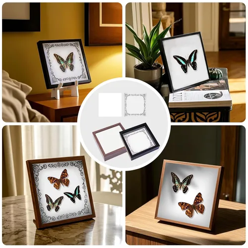 Vista 6 de Kit de herramientas para especímenes de insectos - Tabla de fijación de espuma EVA, papel de coordenadas, papel para prensar alas, pines