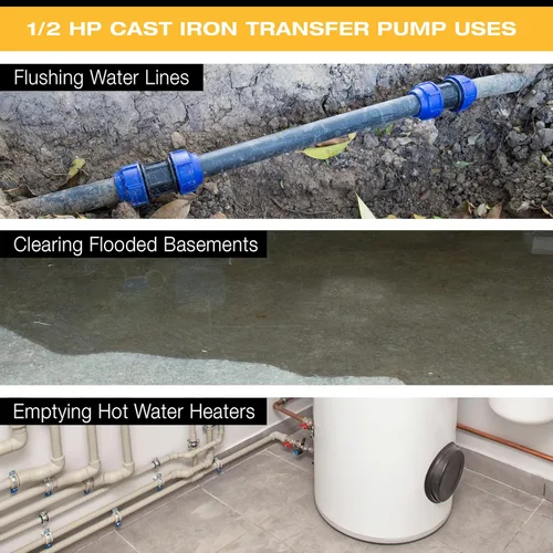 Vista 5 de Wayne PC4 - Bomba multipropósito de hierro fundido 12 HP con colador de succión