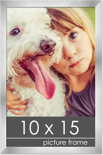 Vista 117 de Marco de madera de peltre plateado de 3 x 4 pulgadas, acrílico UV, respaldo de tablero de espuma y accesorios para colgar, marco de 3 x 4 pulgadas