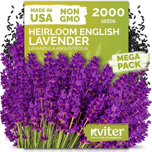 Vista 62 de KVITER 700 semillas de bálsamo de limón para plantar (Melissa Officinalis) - Semillas de hierbas medicinales orgánicas y tradicionales - Cultivar