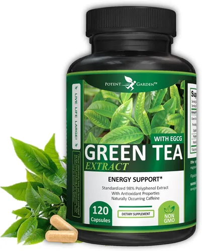 Potent Garden Extracto de té verde con energía natural EGCG, enfoque mental, apoyo inmunológico, fórmula antioxidante y saludable para el corazón,