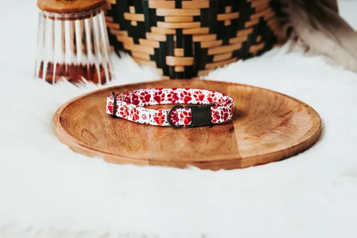 Vista 2 de Western Paw Print Collar (Small)