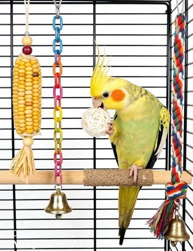 Vista 8 de Paquete de 18 bolas de ratán natural para pájaros, bolas de campana de plástico