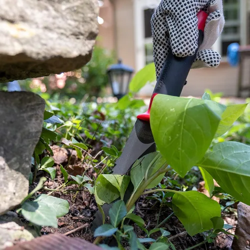 Vista 8 de Root Slayer 16211 Cuchillo de tierra de jardín con hoja dentada para excavar, deshierbar y cortar raíces, herramienta de acero, color rojo