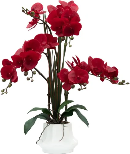 Vista 9 de CXGS Planta de orquídeas artificiales de 20.9 pulgadas, orquídeas artificiales de tacto real en jarrón de cerámica, arreglo floral de Phalaenopsis