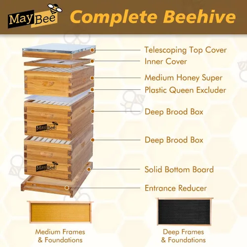 Vista 2 de MayBee Colmena Langstroth de 8 marcos sumergida en cera de abejas 100%, colmena de abejas para principiantes, colmena de abeja de miel incluye 2