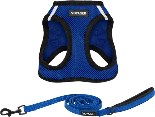 Vista 23 de Best Pet Supplies - Arnés Voyager Step-in Air de malla y correa reflectante para perro de 5 pies, apta para todos los climas, con mango de neopreno