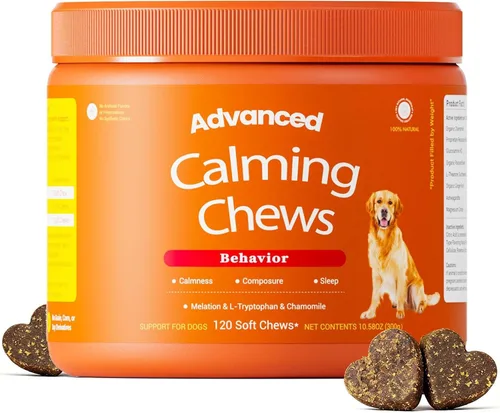 Vista 8 de Probióticos para perros - Enzimas digestivas para la flora intestinal, la salud digestiva, la diarrea y el apoyo intestinal - DE111 clínicamente