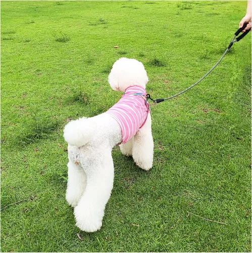 Vista 6 de MayPaw Correa de perro de cuerda resistente, 3/4/5/6/7/8/10/12/15/20 pies, correa de nailon para mascotas, mango acolchado suave, correas gruesas