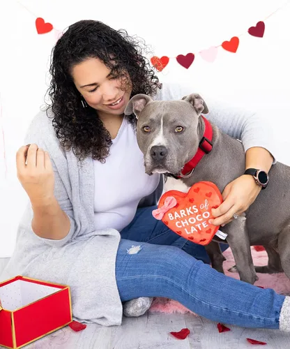 Vista 5 de Pearhead Juguete para perros de ladridos de chocolate, caja de juguete de peluche de chocolate, juguete para el día de San Valentín arrugado