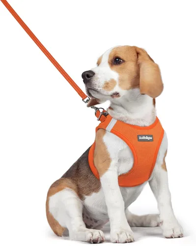 Vista 73 de rabbitgoo Juego de arnés para perro, tamaño pequeño y correa, chaleco ligero suave para cachorro, arnés de malla transpirable para mascotas, Negro