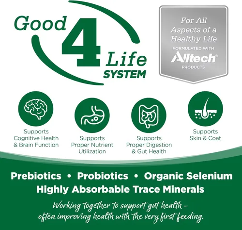 Vista 2 de NutriSource Alimento seco para perros, pavo y arroz, 4 libras