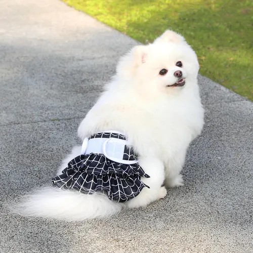 Vista 8 de Pañales reutilizables para perras hembras, paquete de 3, pañales para perras para período, celo e incontinencia, entrenamiento de cachorros