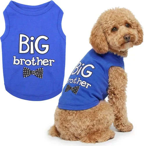 Vista 13 de Parisian Pet - Camiseta para perros y gatos, con texto en inglés Big Sister, 2XS