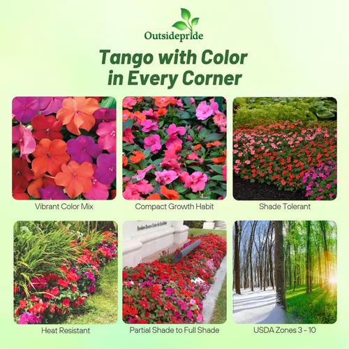 Vista 2 de Outsidepride Xtreme Tango Mix Impatiens - 100 semillas anuales, compactas y aptas para polinizadores, semillas de Impatiens para plantar con flores