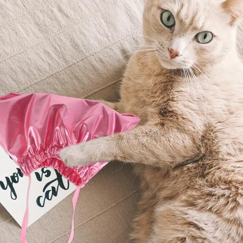 Vista 5 de Mipcase Gorro de ducha impermeable para mascotas para gatos y perros, sombrero de baño flexible para cachorros con protección para los oídos, gorras