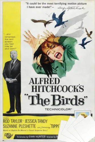 Vista 9 de Alfred Hitchcock's The Birds - Movie Poster (Regular Style) (Size: 24" x 36") (Laminated Poster)