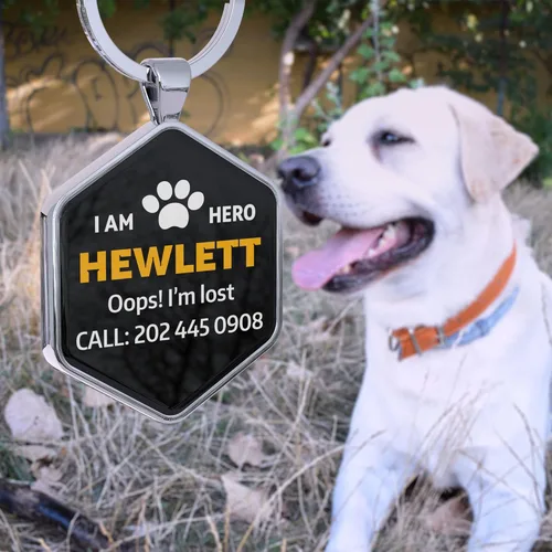 Vista 2 de Etiquetas de identificación personalizadas para mascotas, código QR personalizable, etiqueta de perro y gato – Perfil en línea para mascotas